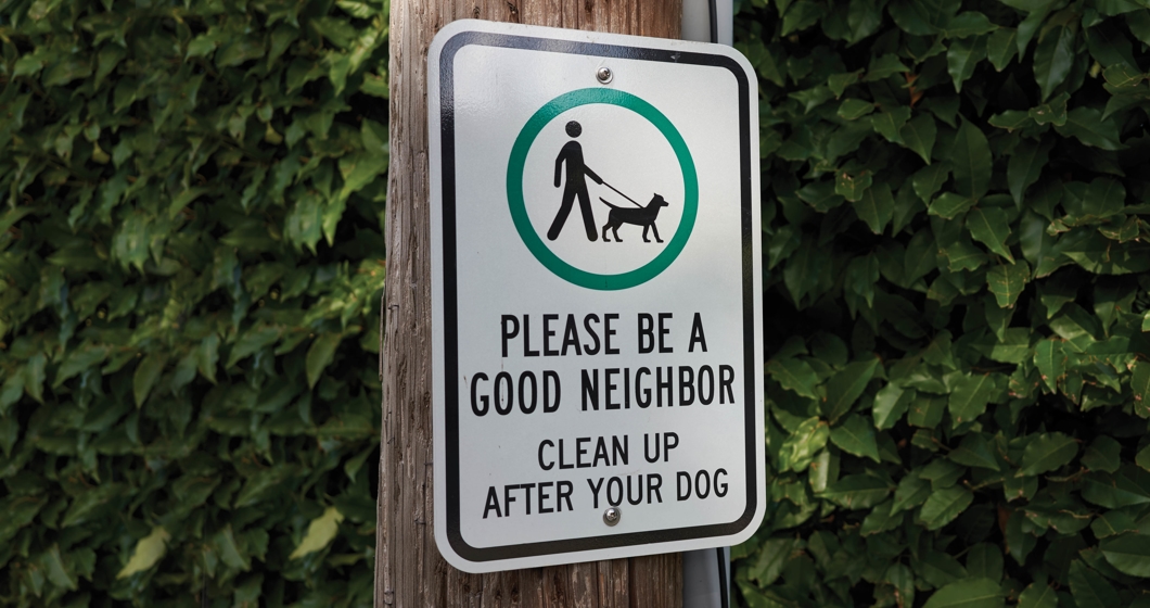 How to Stop Dogs from Pooping in Your Yard: Effective Solutions