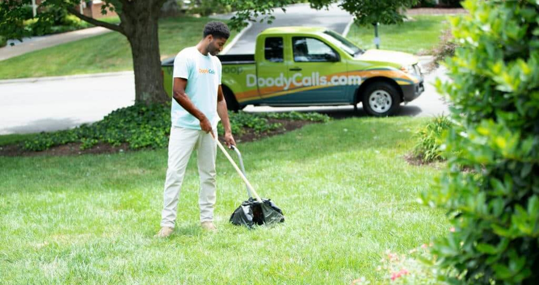 how do i disinfect my yard from dog poop