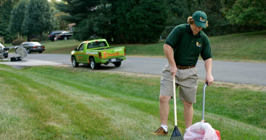 Professional pet waste removal service in action