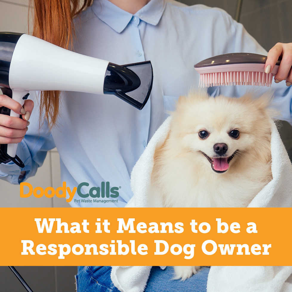 What It Means to Be a Responsible Dog Owner | DoodyCalls