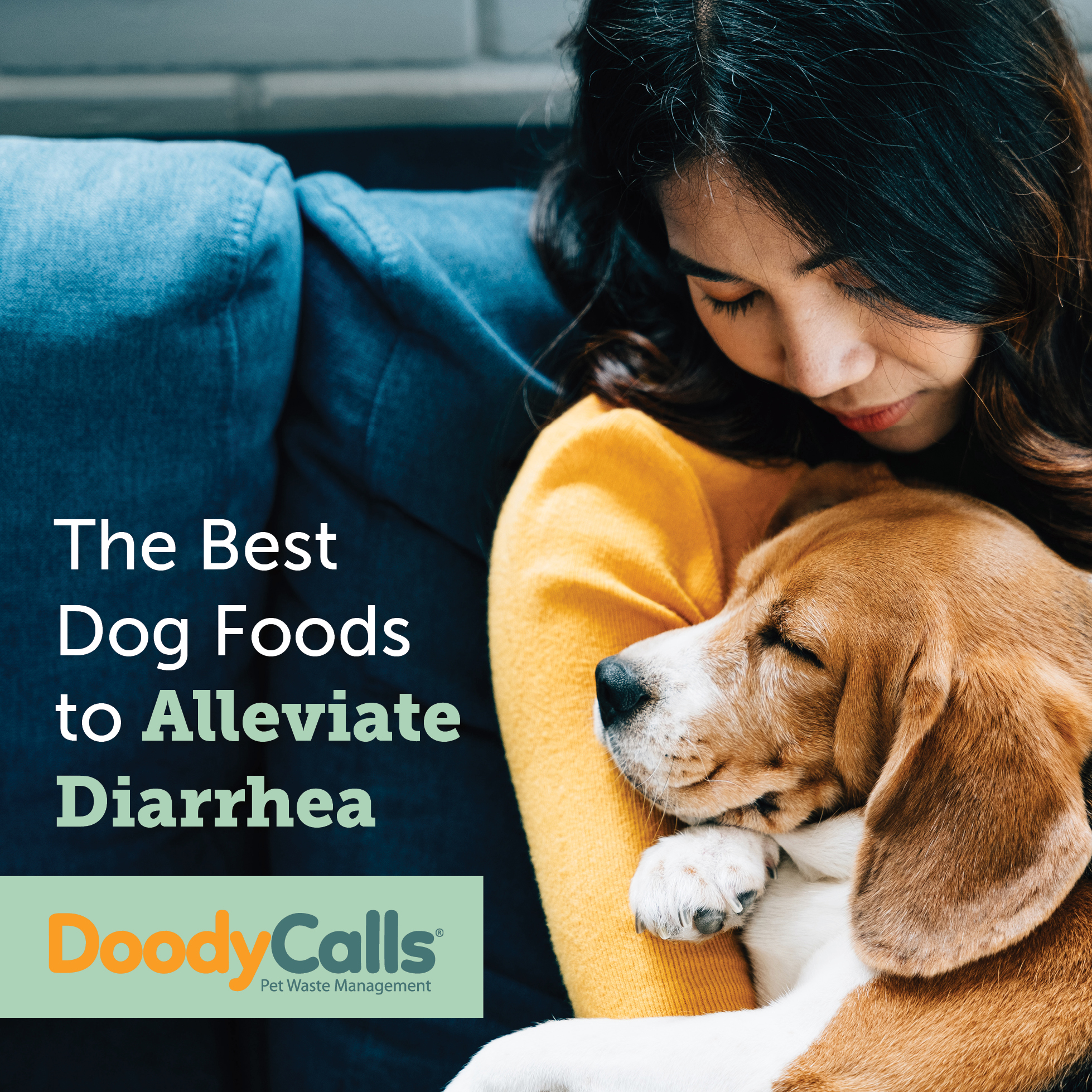 The Best Dog Foods for Diarrhea: A Guide for Concerned Pet Owners